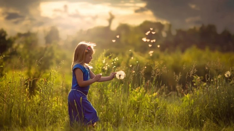 Синоптики порадували погодою на Трійцю