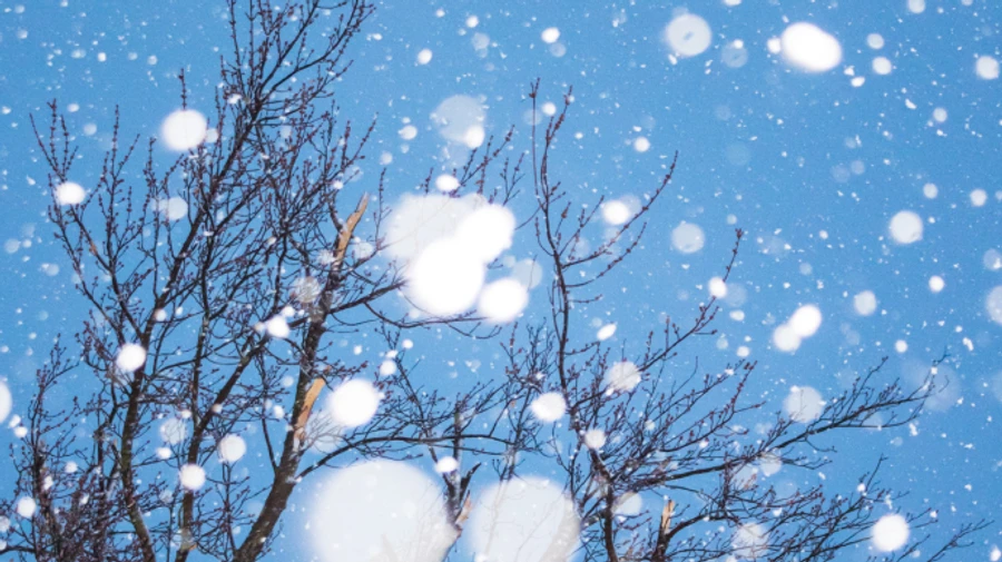 Украинцев ждут снегопады и похолодание