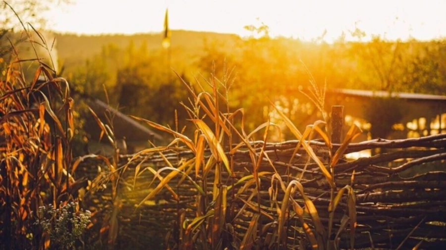 У суботу в Україні пануватиме спека і короткочасні дощі