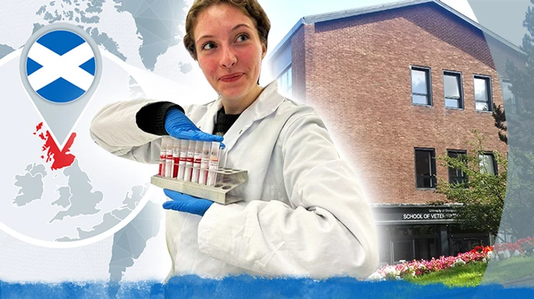 Как это - жить на круизном лайнере и учиться на ветеринарной медицине в Шотландии? История украинской студентки