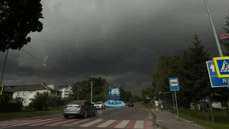 Потужна злива у Львові повалила 100 дерев