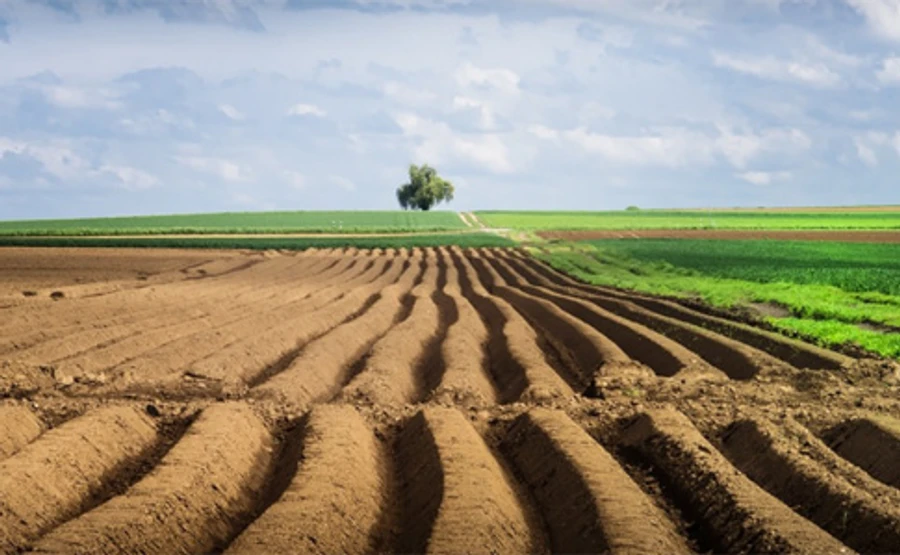 В Раде зарегистрировали уже 7 постановлений об отмене рынке земли