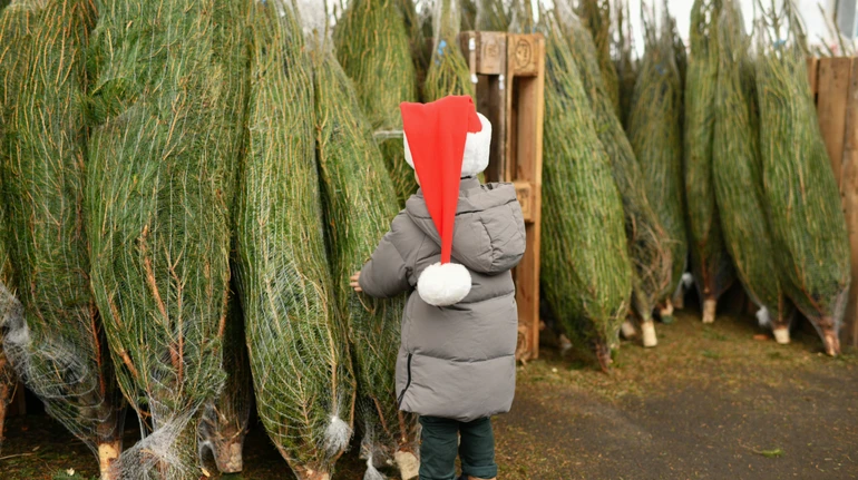 Можно ли перевозить елку в столичном метро: в подземке дали разъяснение