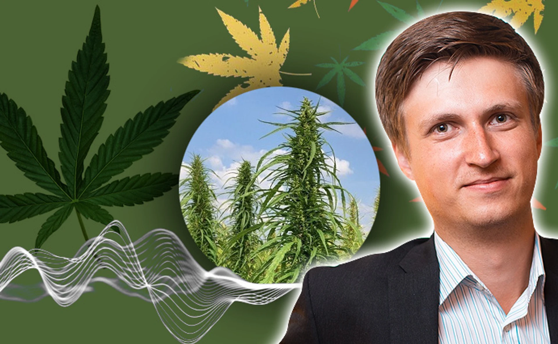 Не лише медичний: як держава змінила ринок технічного канабісу і що з ним можна робити?