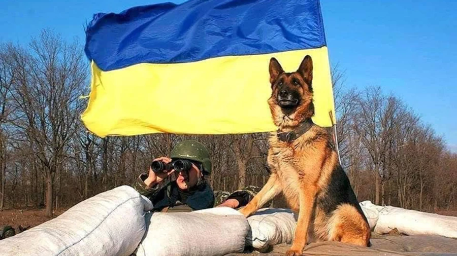 Defenders have encircled Irpin, Bucha and Hostomel, while a number of villages near Kyiv are occupied