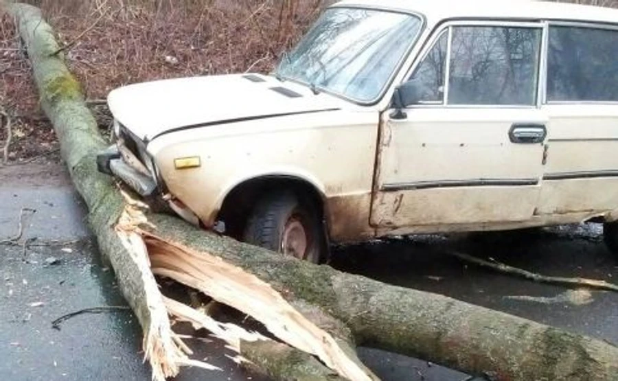 На Львівщині далі дме шалений вітер, який вже накоїв лиха в Україні