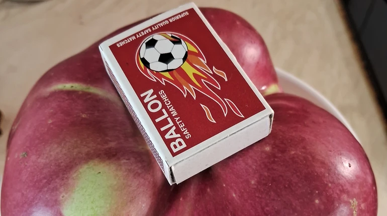 Самое большое в Украине яблоко: в Киеве мужчина вырастил фрукт весом более 1,2 килограмма