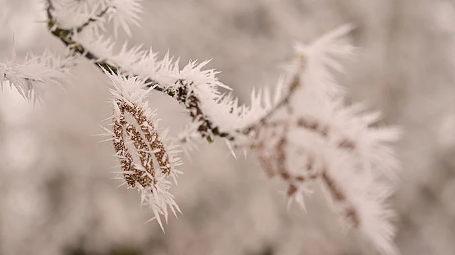 В Украине усилятся морозы: на севере и востоке ночью до -20