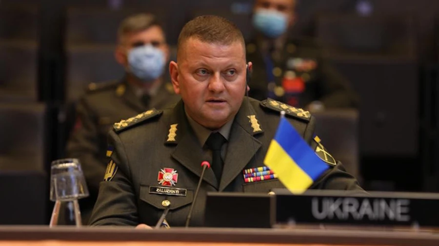 Залужный поговорил с Милли об освобождении украинских земель от оккупантов