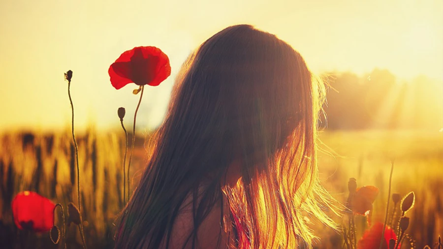 2021-й был одним из самых теплых в Киеве за 140 лет: побил 25 температурных рекордов