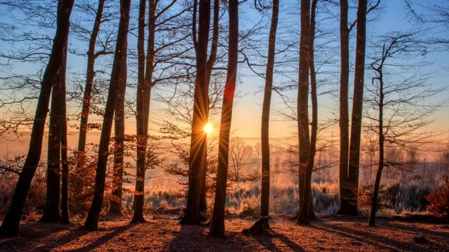 Погода в выходные: от снега до +13 градусов