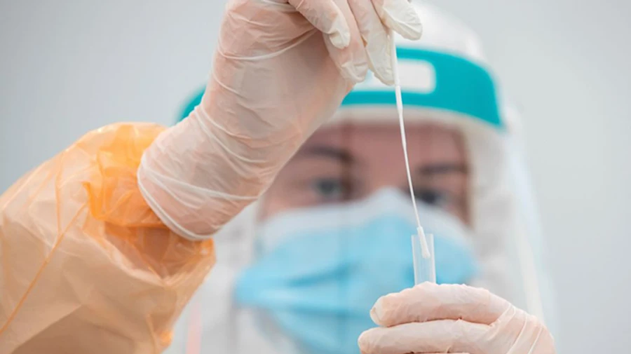 Штамм коронавируса омикрон обнаружили в Германии