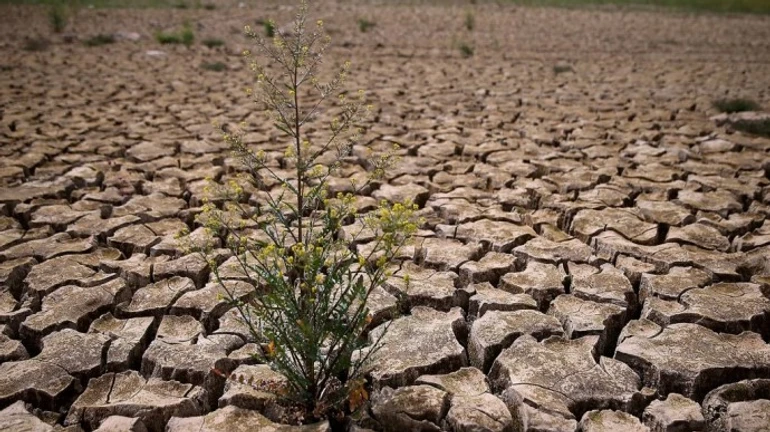 Дефицит воды в Крыму: оккупанты рассчитывают на международный суд