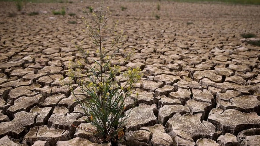 Дефицит воды в Крыму: оккупанты рассчитывают на международный суд