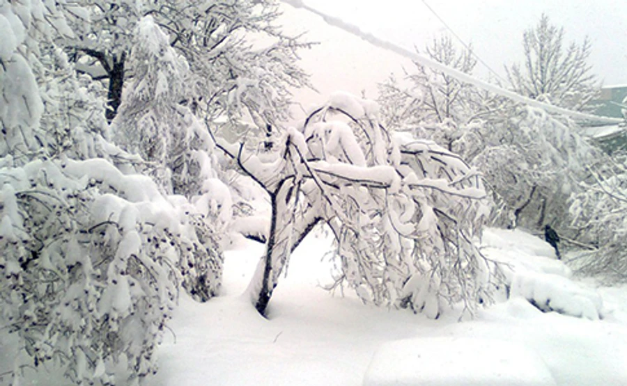 На Різдво в Україні будуть сильні морози