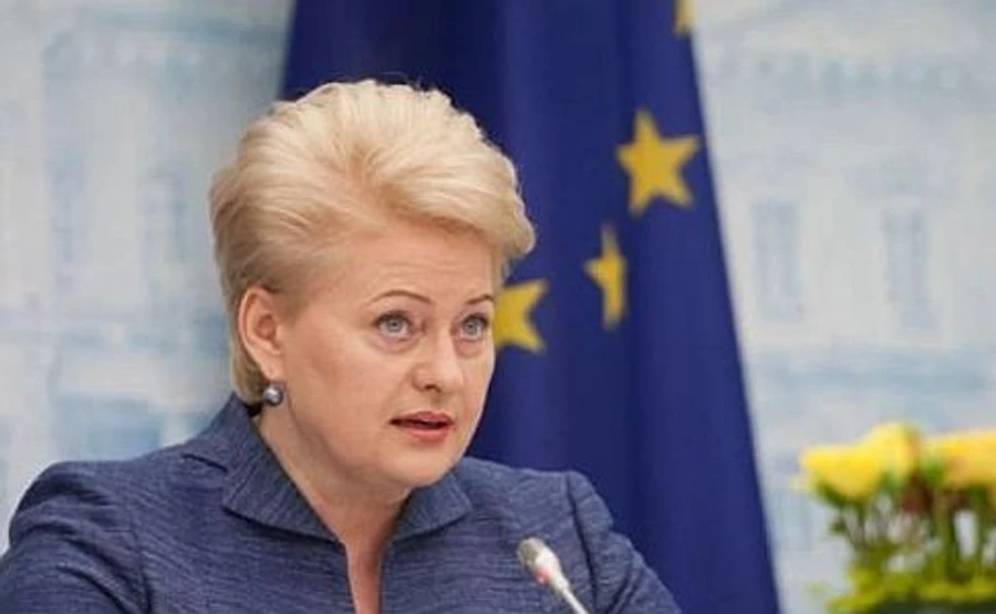 Грибаускайте – украинцам: Не время ставить под сомнение евровыбор