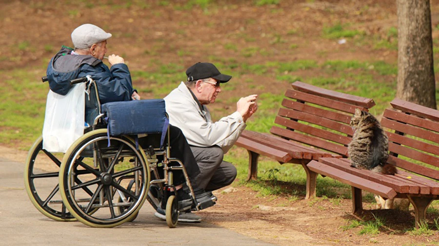 Изменились правила для выезда за границу мужчин, сопровождающих лиц с инвалидностью 