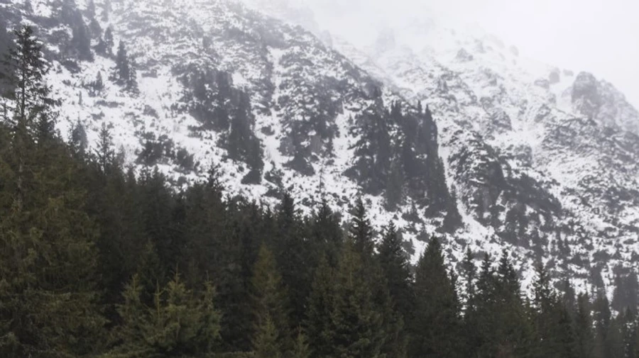 В Карпатах лавина накрыла людей, спасатели просят не идти в горы