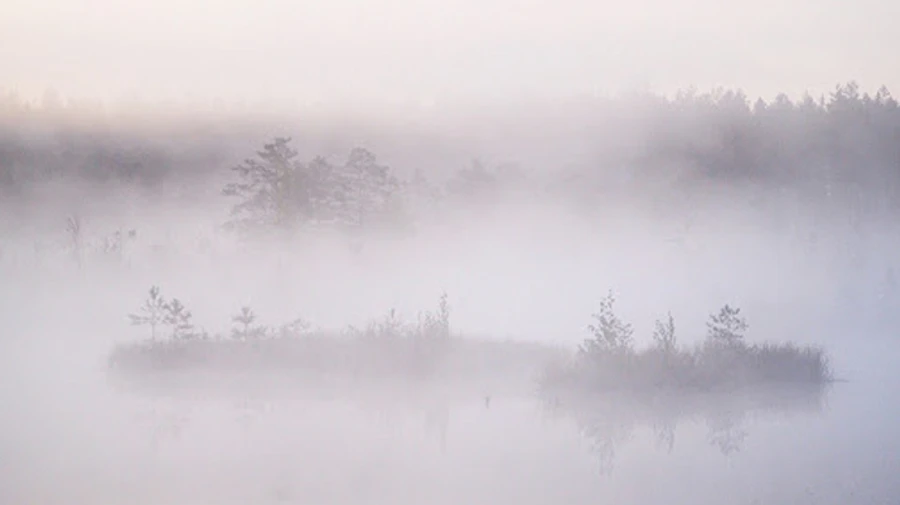 Синоптики оголосили штормове попередження через туман