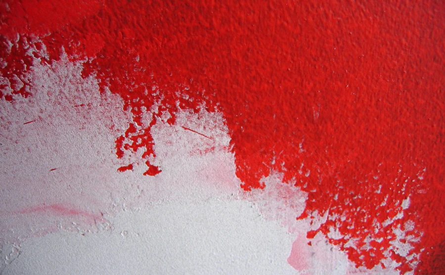 У різдвяну ніч у Києві облили червоною фарбою Російський центр