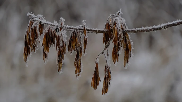 На выходных в Украине без осадков, только на западе в воскресенье дождь и мокрый снег