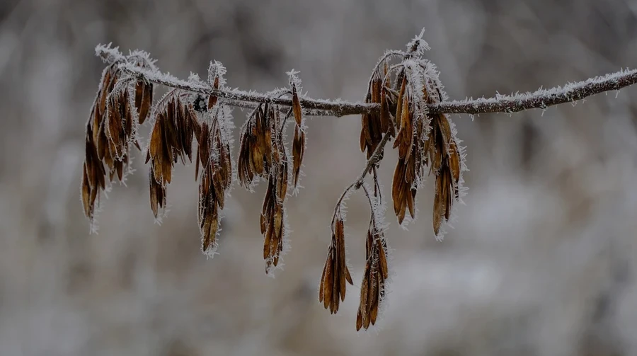 No precipitation in Ukraine at the weekend, only rain and sleet in the west on Sunday