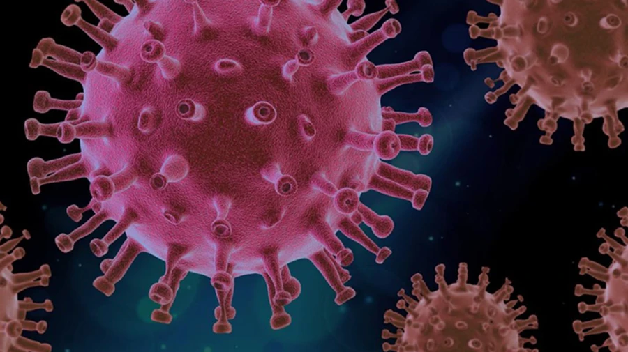 Главные новости 12 января и ночи: новый антирекорд Covid, возвращение Порошенко