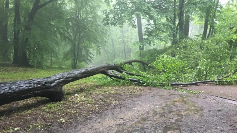 Ураган унес жизни двух человек в Львове
