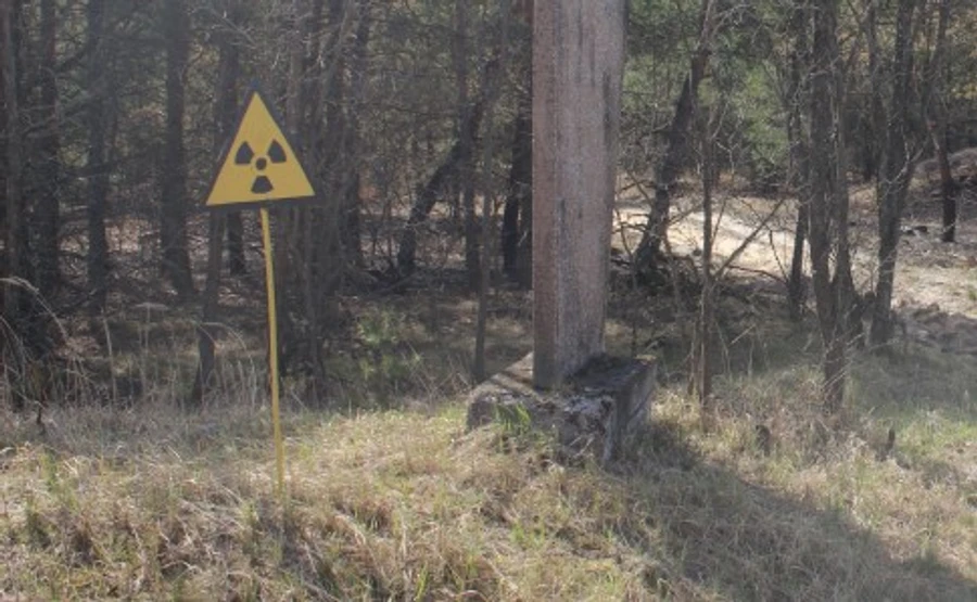 У Зоні відчуження намагаються загасити 4 лісові пожежі