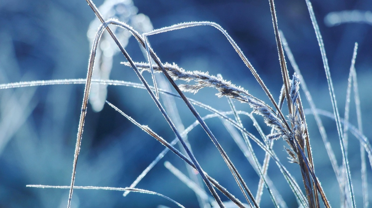 В Украине будет холодно, но без осадков