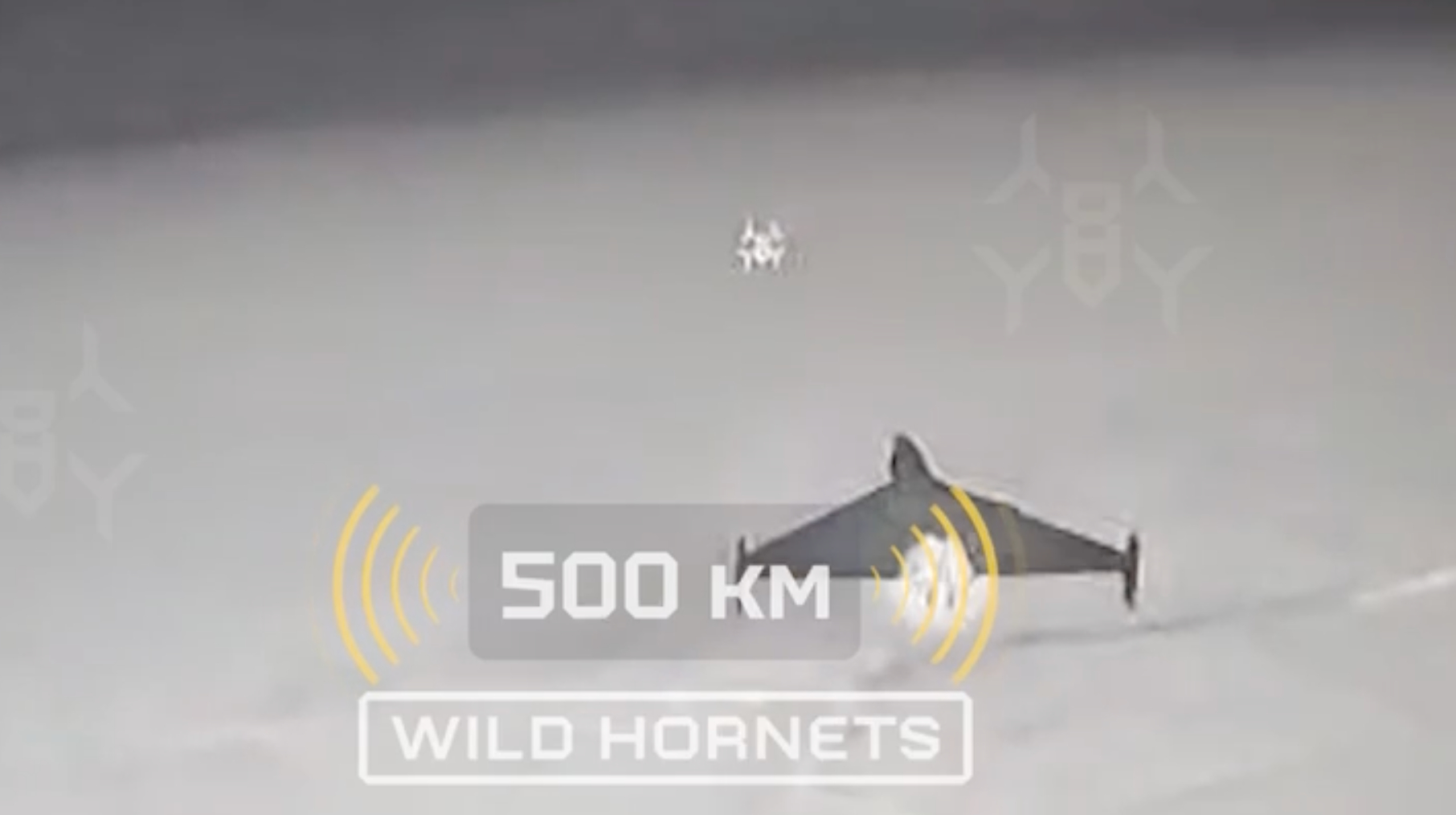 Ukrainian soldier downs two Shahed drones using Sting interceptors from distance of 500 km