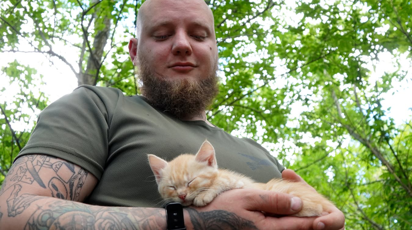 Ukrainian soldiers evacuate cat and five kittens by drone – photos