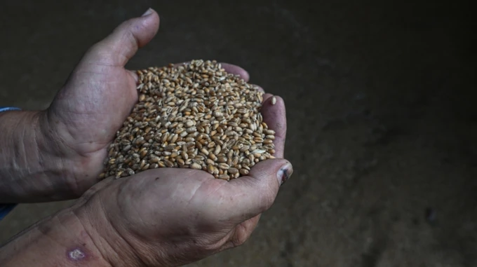 Poland asks EU to help resolve dispute over Ukrainian grain