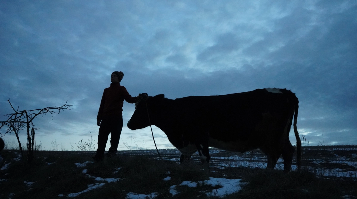 Ukrainian film Animals in War to be released in North American cinemas