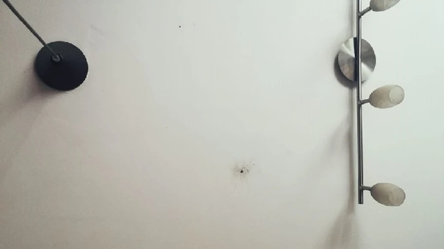 Поліція не знайшла обладнання для пошуку прослушки в квартирі журналіста програми Схеми