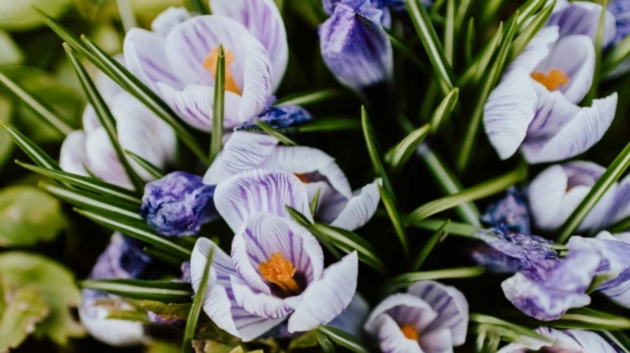 В Україні потеплішає до +17°