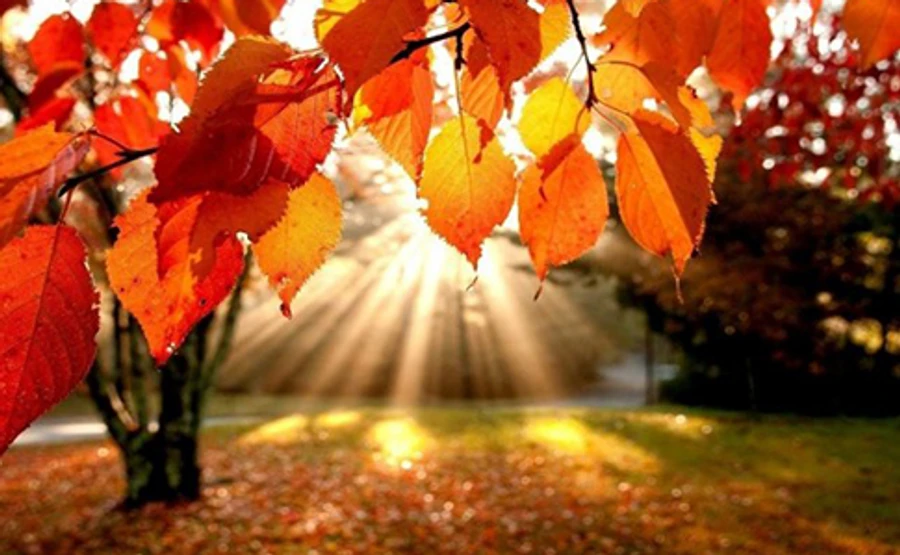 Теплее всех в Европе: в понедельник в Украине до +20