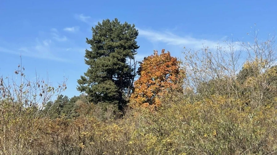 В Україну суне похолодання