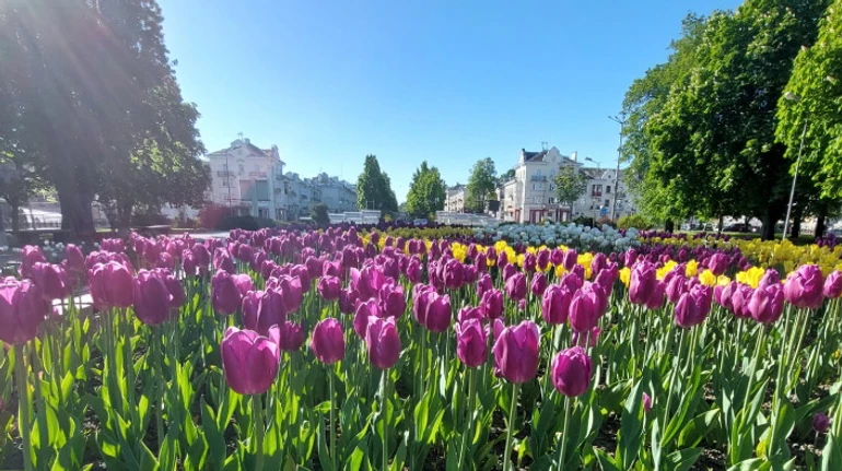 Почти прихорошенный, но все еще тревожный. Как оживает Чернигов