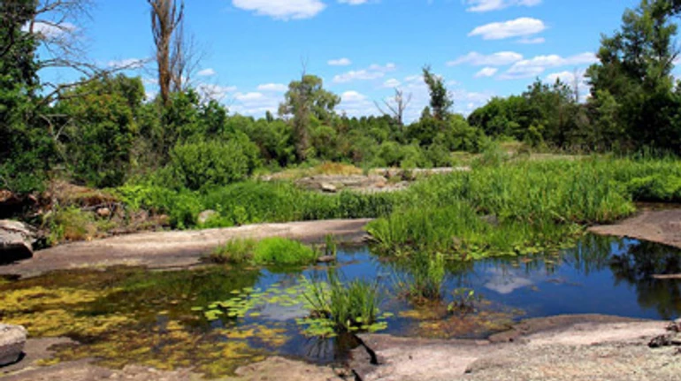 Чим живе Древлянський заповідник, де подекуди рівень радіації більший, ніж у Чорнобилі