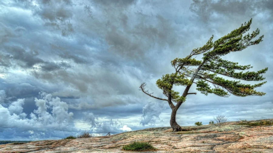 Украину накроет ветреная погода