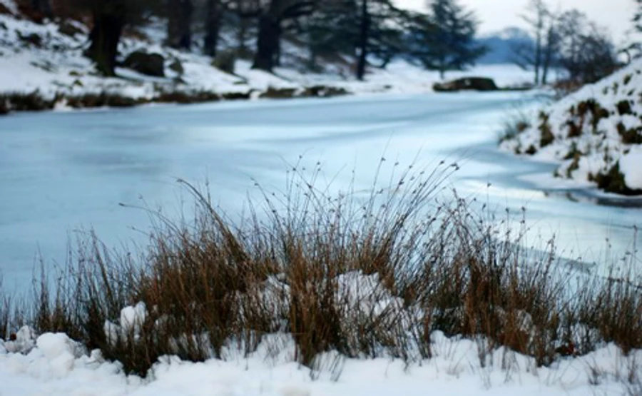 Синоптик рассказала, когда в Украину придет мороз