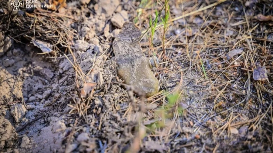 49-year-old man triggers Russian landmine while mowing grass in Kharkiv Oblast