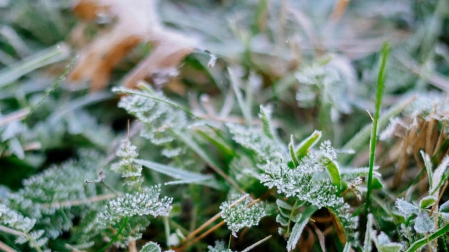 Ночи становятся прохладнее, грядут заморозки – прогноз на ближайшие дни