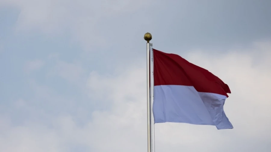 Індонезія офіційно приєдналася до БРІКС