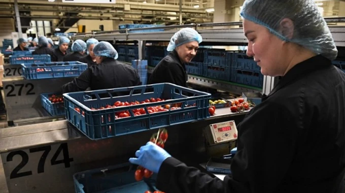 Survey shows 78% of Ukrainian refugees in Poland have found work