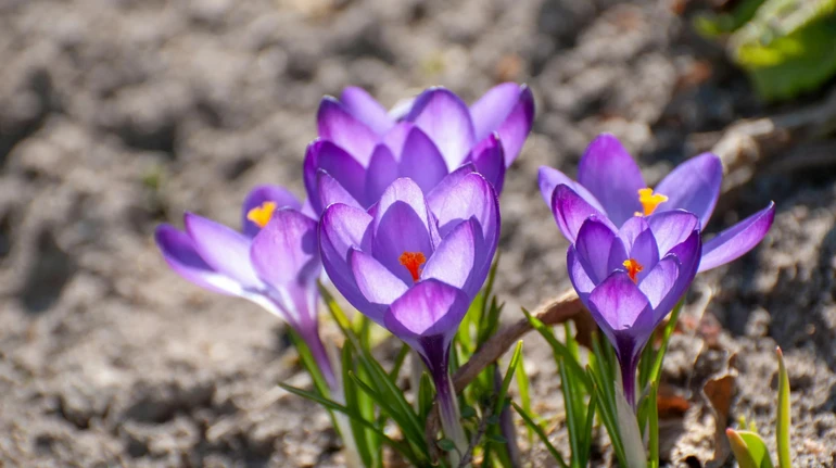 На вихідних в Україні стане трохи тепліше