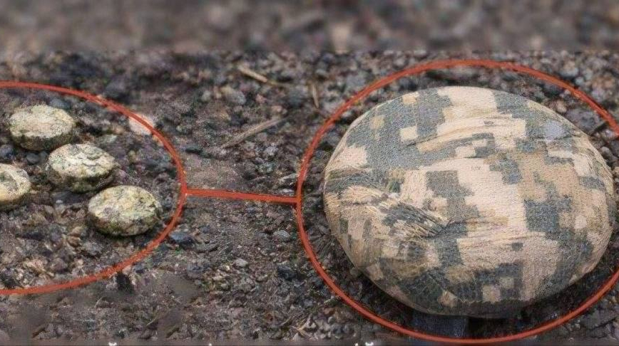 Smaller but more dangerous: Russians disperse new Pryanik mines in Kherson