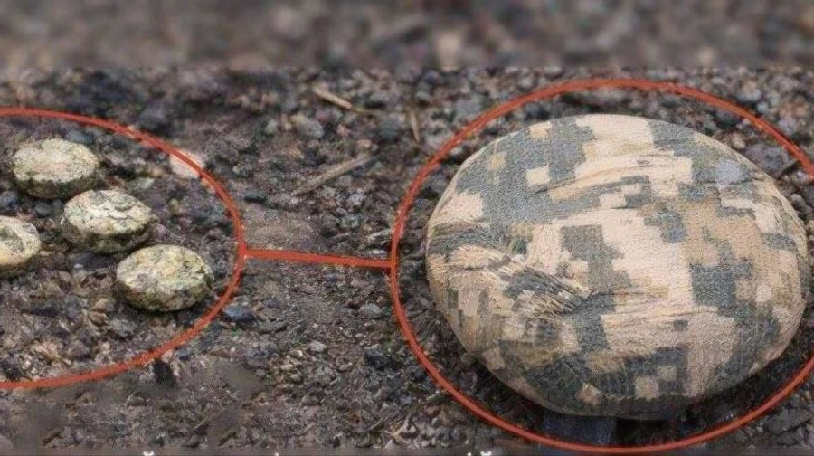 Smaller but more dangerous: Russians disperse new Pryanik mines in Kherson