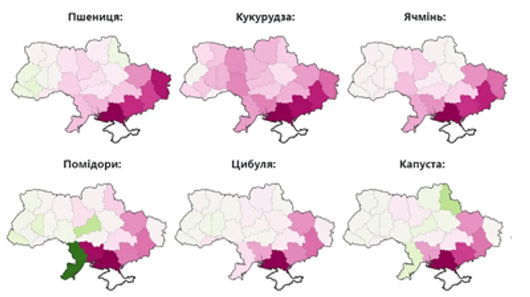 Український агросектор в комі. Що показав аналіз свіжоопублікованих даних Держстату?